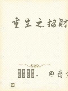 重生之招财进宝