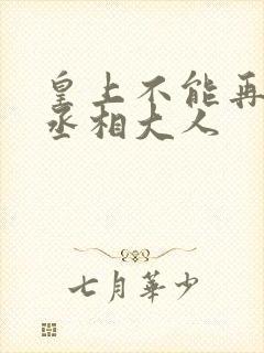 皇上不能再进了丞相大人