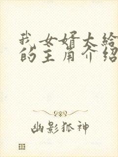 我女婿太给力了的主角介绍