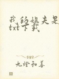 我的姐夫是太子txt下载