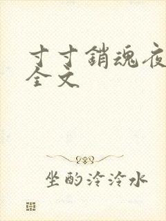 寸寸销魂夜春光全文