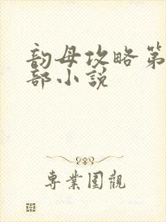 韵母攻略第12部小说