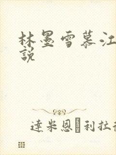 林墨雪慕江行小说