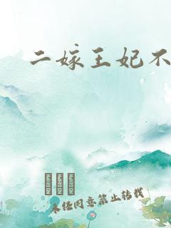 二嫁王妃不好惹