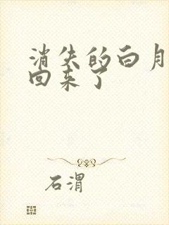 消失的白月光又回来了