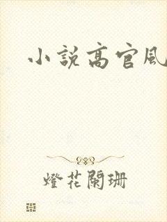 小说高官风流