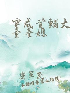 穿成首辅大人的童养媳