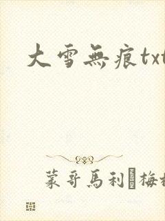 大雪无痕txt