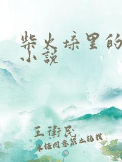 柴火垛里的疯狂小说