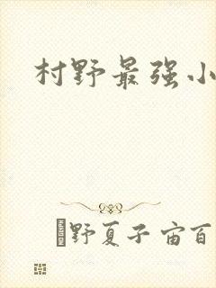村野最强小农民