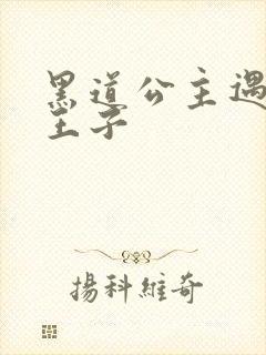 黑道公主遇冷酷王子