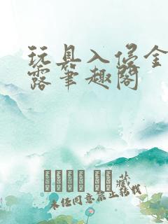 玩具入侵金银花露笔趣阁