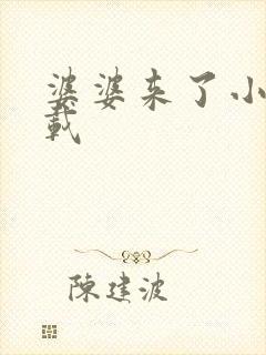 婆婆来了小说下载