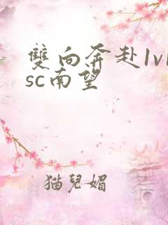 双向奔赴1v1sc南望