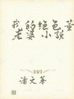 我的绝色董事长老婆 小说