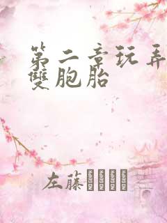 第二章玩弄少妇双胞胎