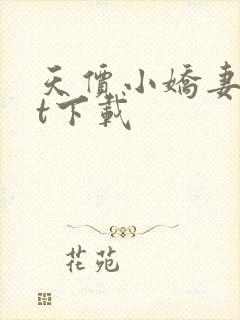 天价小娇妻txt下载