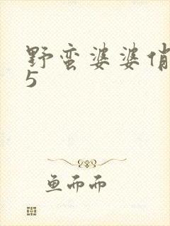 野蛮婆婆俏媳妇5