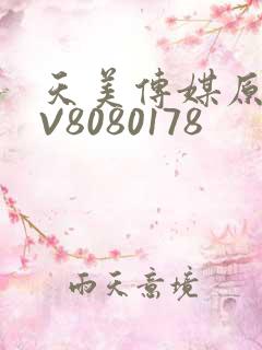 天美传媒原创MV8080178