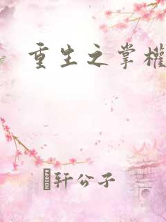 重生之掌权天下