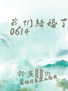 我们结婚了130614