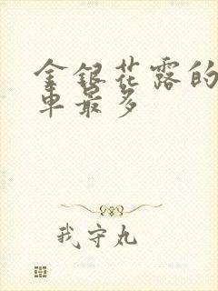 金银花露的哪个车最多