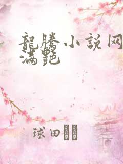 龙腾小说网乡村满艳