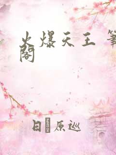 火爆天王 笔趣阁