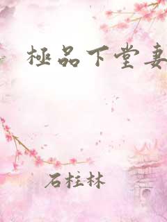 极品下堂妻