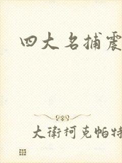 四大名捕震关东