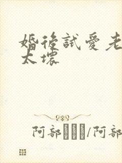 婚后试爱老公别太坏