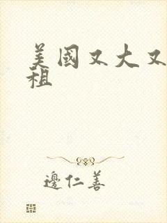 美国又大又长又租