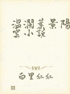 温澜叶景阳温云云小说