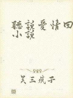 听说爱情回来过小说