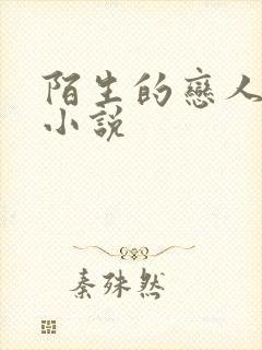 陌生的恋人原著小说