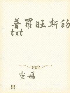 普罗旺斯的一年txt