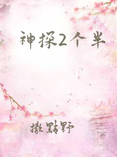 神探2个半