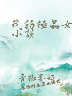 我的极品女老师小说