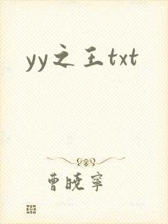 yy之王txt