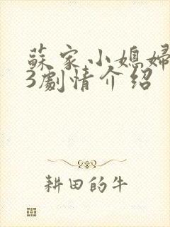 苏家小媳妇1v3剧情介绍