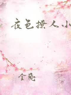 夜色撩人小说
