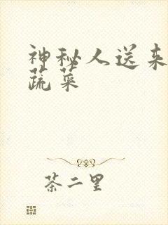 神秘人送来千斤蔬菜