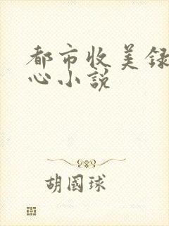 都市收美录宁素心小说