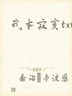 我本寂寞txt