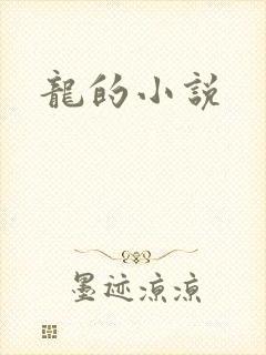 龙的小说