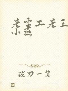 老电工老王和李小燕