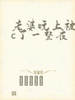 老婆晚上被躁狂c了一整夜