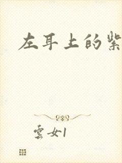 左耳上的紫水晶