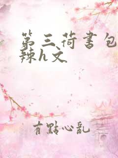 第三荷书包网高辣h文