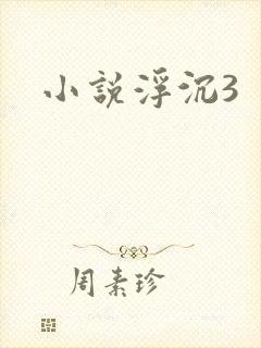 小说浮沉3